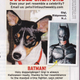 Illustration for article titled This Week In Tabloids: iCloser/i Is the Most Important Magazine on Newsstands Right Now
